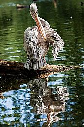 矿工们开钻！ 《深岩银河：幸存者》1.0版本正式发布